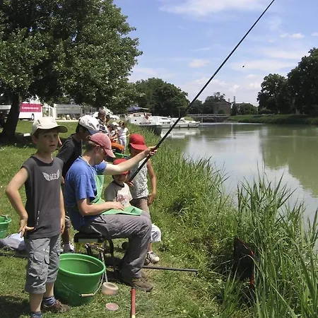 Le Salcevert, Proche A62, 7mn Montauban, 20mn Toulouse (adults Only)