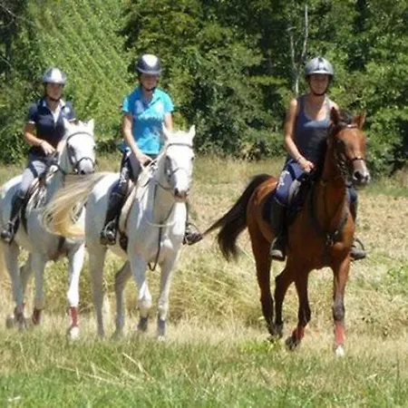 Le Salcevert, Proche A62, 7mn Montauban, 20mn Toulouse (adults Only)